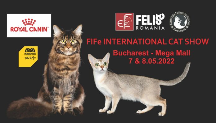 SofistiCAT – Salonul Felin Internațional București își redeschide porțile după 2 ani de pauză